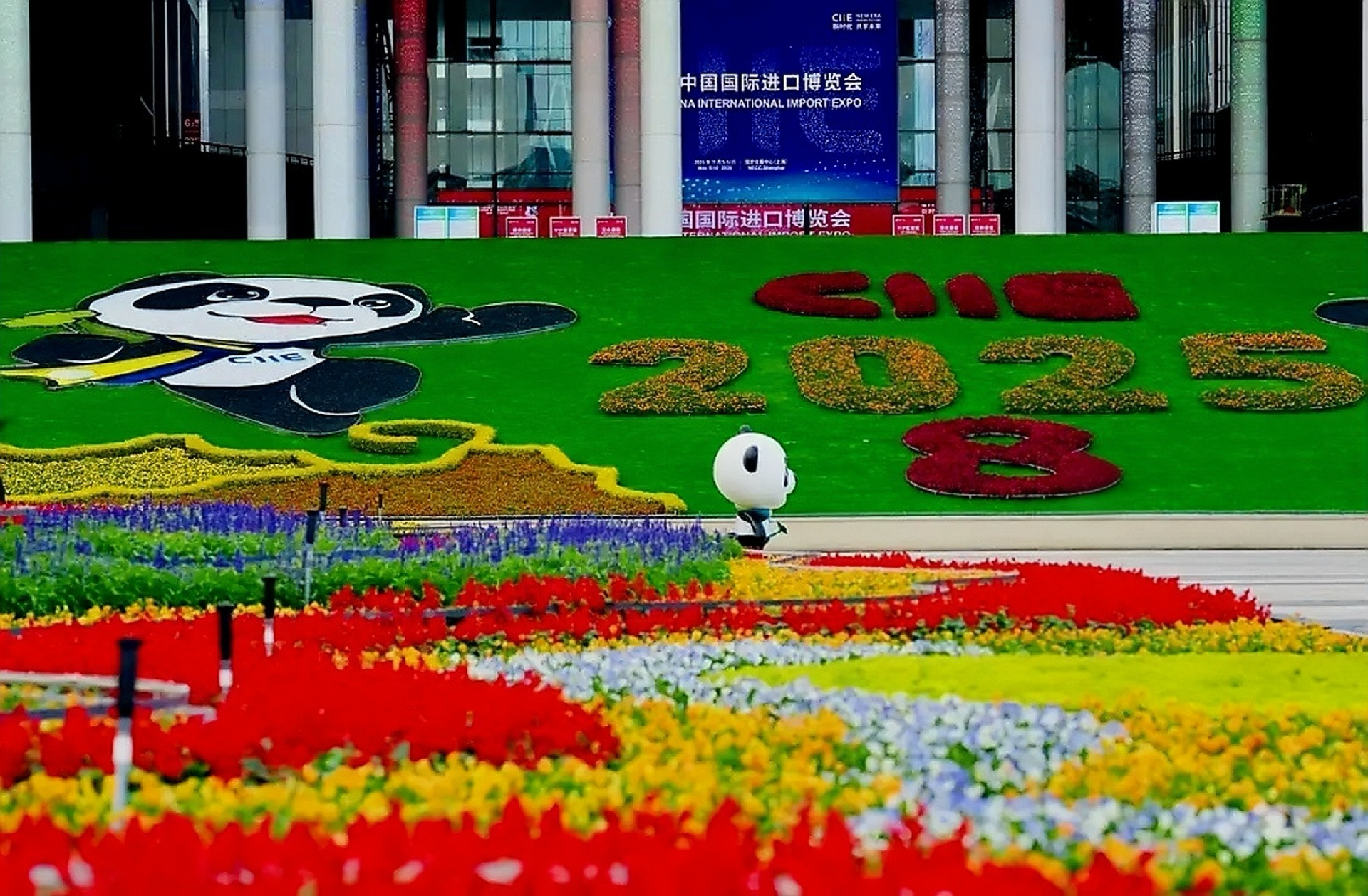 瑞得莱恩酒业再次亮相中国国际进口博览会 瑞得莱恩酒业再次亮相中国国际进口博览会